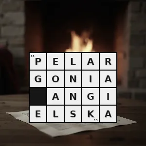 Hasło krzyżówkowe wspólna nazwa dla kultywarów pelargonium grandiflorum uprawianych jako rośliny ozdobne - pelargonia angielska – rozwiązanie, synonimy, podpowiedzi i definicje krzyżówkowe